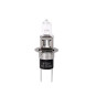 Halogenlampe M-TECH H3C 55W PK22D 12V