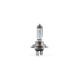 Halogenlampe M-TECH H7 PX26d 100W 12V