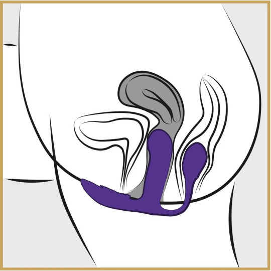 GoGasm Pussy & Ass Vibrator – Dreifache Stimulation mit Fernbedienung