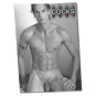 Pin-up Kalender Real Cocks 2027