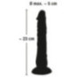 European Lover small – European Lover