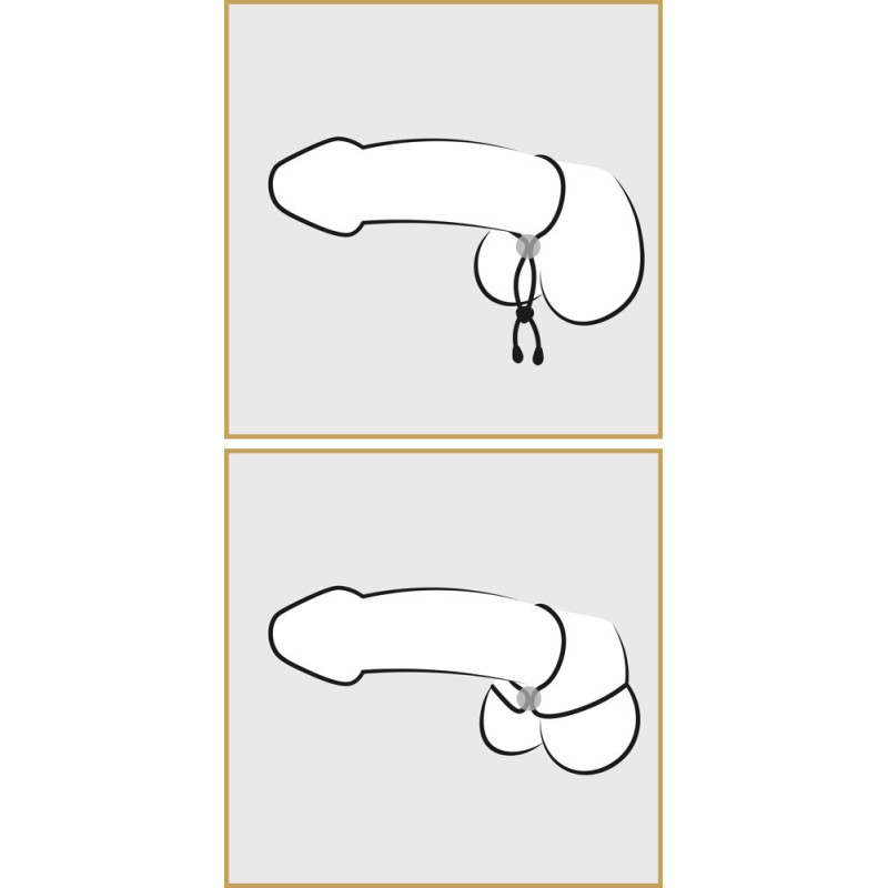 Bad Kitty Cock & Ball Loop – Bad Kitty