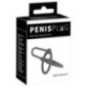 Penisplug With Glans Ring – Penisplug