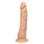 European Lover – European Lover