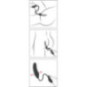 Schwarz Latex Balloon – You2Toys