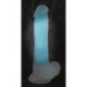Glow in the Dark – You2Toys