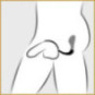 ass-gasm cockring plug – Anal Fantasy Collection
