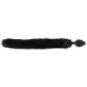 Pet Play Plug & Ears – Bad Kitty