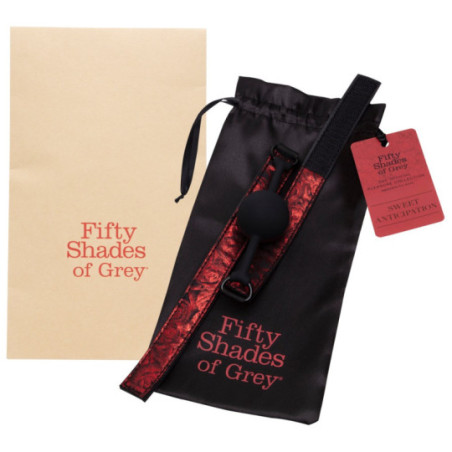 Sweet Anticipation Ball Gag – Fifty Shades of Grey