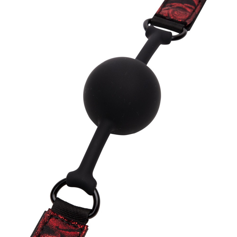 Sweet Anticipation Ball Gag – Fifty Shades of Grey