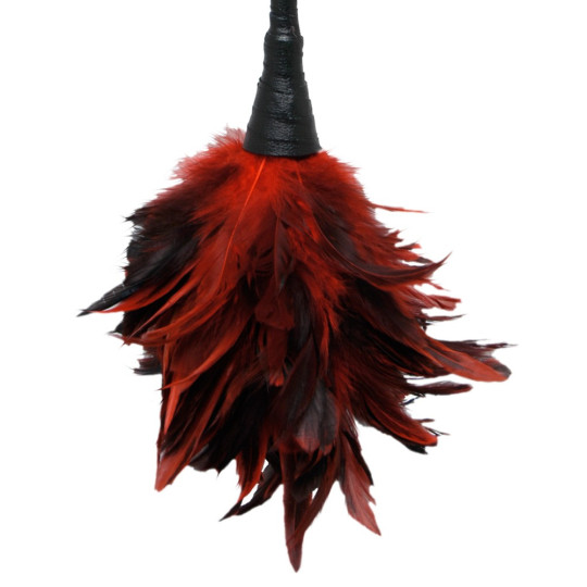 Frisky Feather Duster – Fetish Fantasy Series