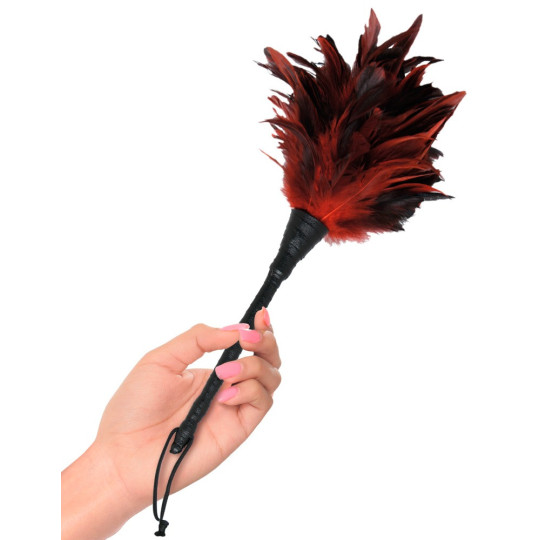 Frisky Feather Duster – Fetish Fantasy Series