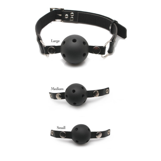 Ball Gag Training System – Fetish Fantasy Series