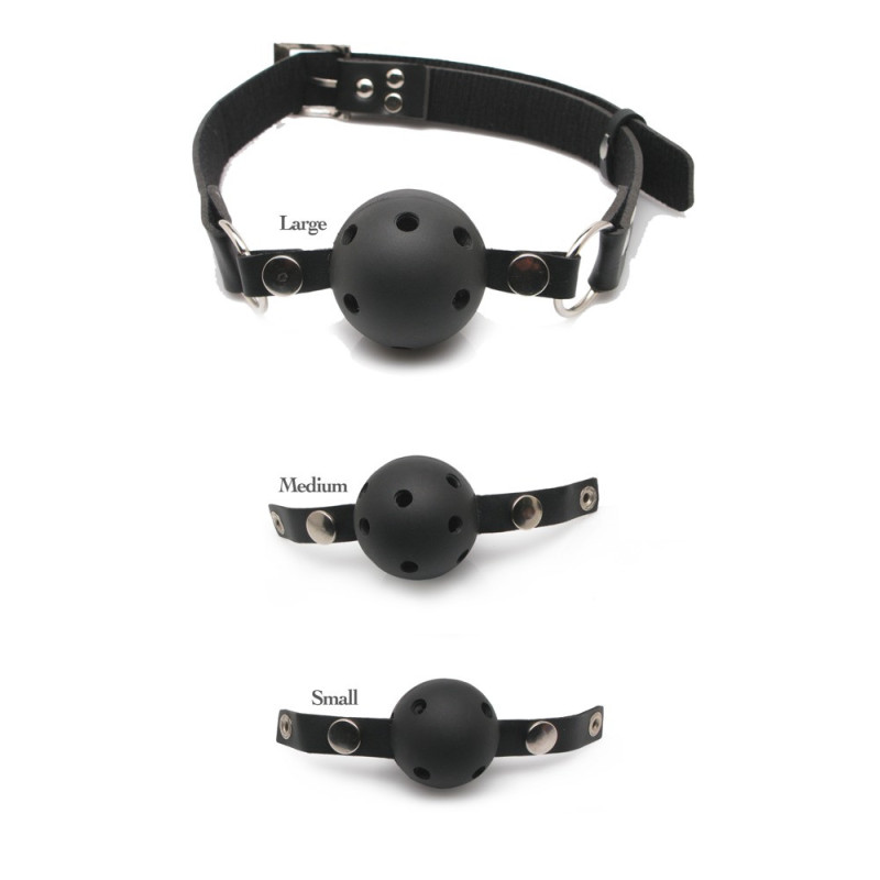 Ball Gag Training System – Fetish Fantasy Series