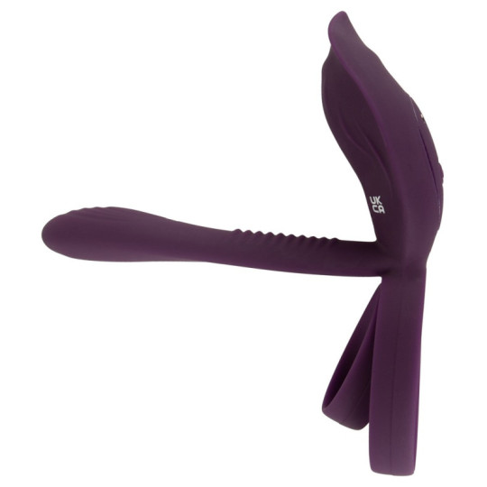 RC Couple‘s Vibrator 2 – Couples Choice