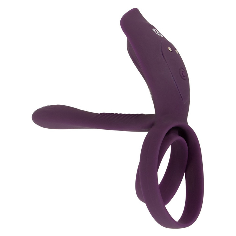 RC Couple‘s Vibrator 2 – Couples Choice