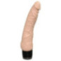 Secret Lover Boys „The Neighbour“ – You2Toys