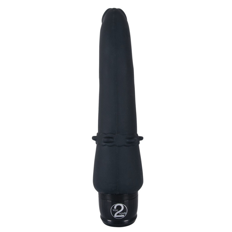 Vibra Lotus Anal – You2Toys