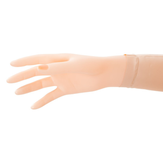 Camilla – NMC