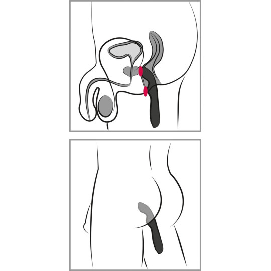 P-Spot Vibrator – Rebel