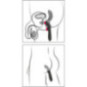 P-Spot Vibrator – Rebel