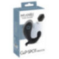 G-&P-Spot Vibrator – Inflatable + RC