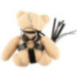 SM-Teddy – Bad Kitty