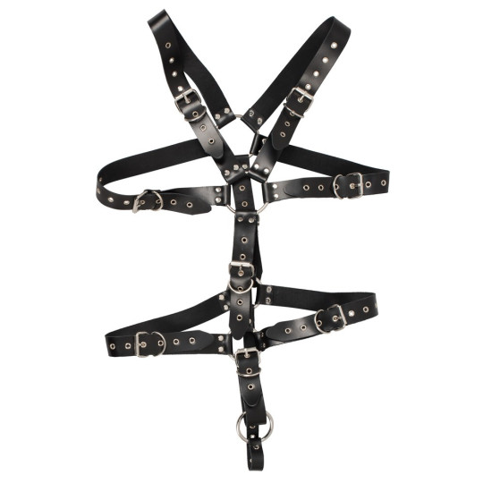 Harness – ZADO