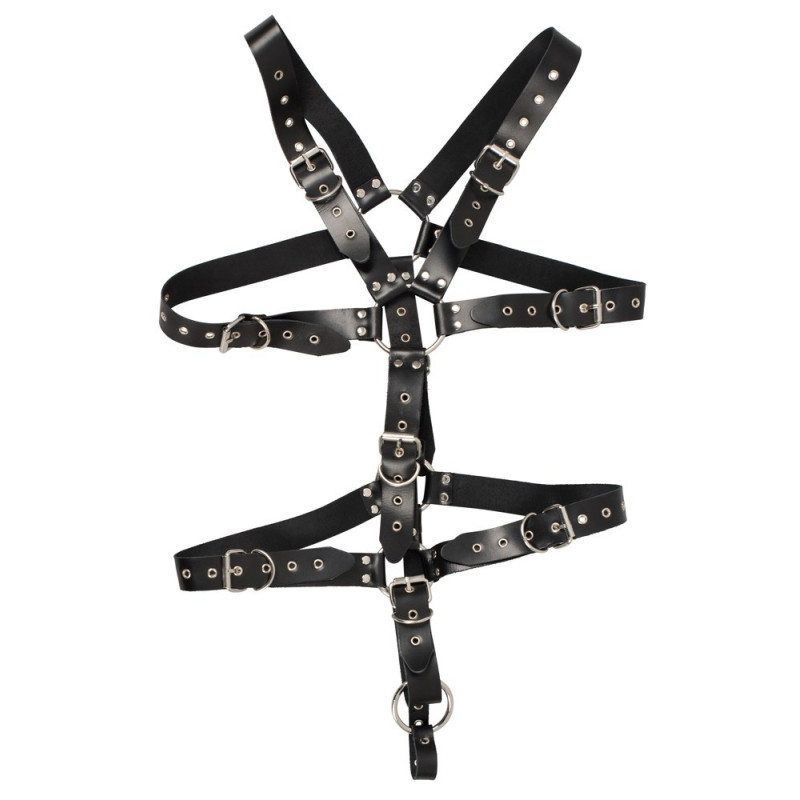 Harness – ZADO