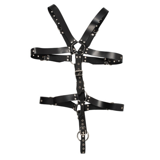 Harness – ZADO