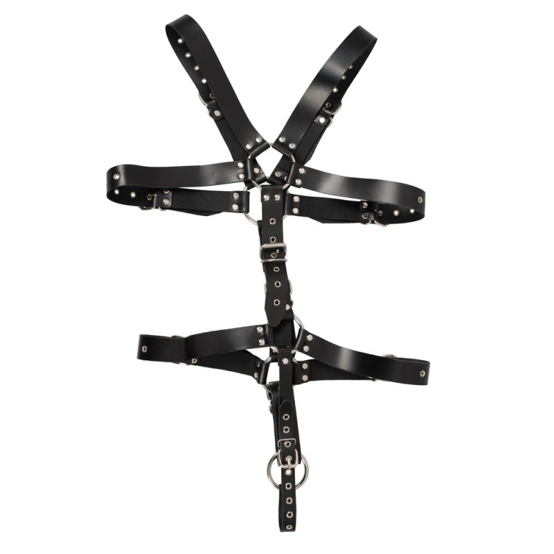 Harness – ZADO