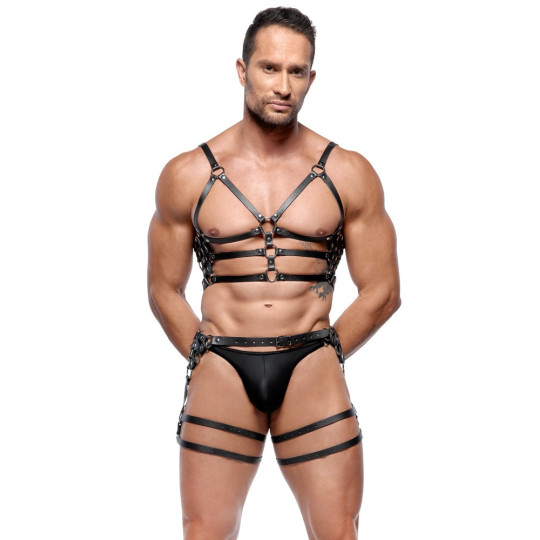 Harness-Set aus Leder – ZADO