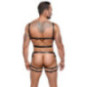 Harness-Set aus Leder – ZADO