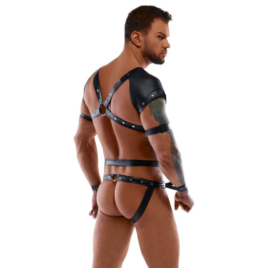Body – Svenjoyment