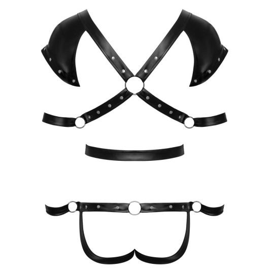 Body – Svenjoyment
