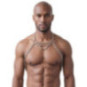 Harness – Svenjoyment