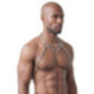 Harness – Svenjoyment
