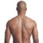 Harness – Svenjoyment