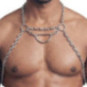 Harness – Svenjoyment