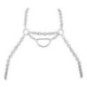 Harness – Svenjoyment