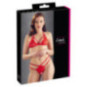 BH und String – Cottelli LINGERIE