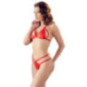 BH und String – Cottelli LINGERIE