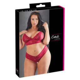 BH und String – Cottelli CURVES