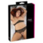 BH und String – Cottelli CURVES