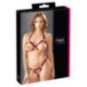 BH und String – Cottelli LINGERIE