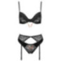 Cottelli LINGERIE Straps-Set – Cottelli LINGERIE