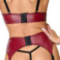 Cottelli LINGERIE 3-teiliges Straps-Set – Cottelli LINGERIE