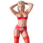 Cottelli LINGERIE Hebe Set – Cottelli LINGERIE