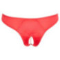 Slip – Cottelli LINGERIE