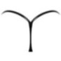 String – Noir
